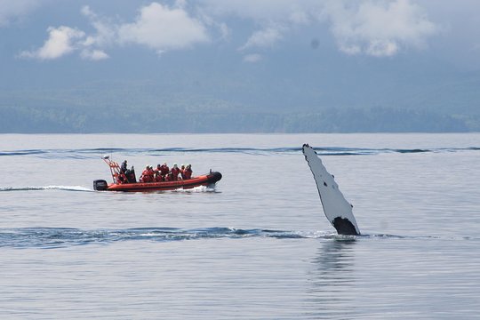 Tour image 3