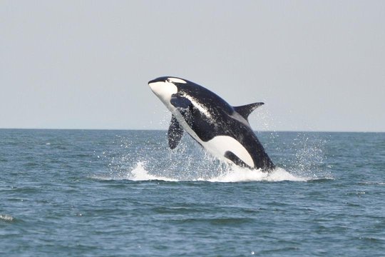 Tour image 5