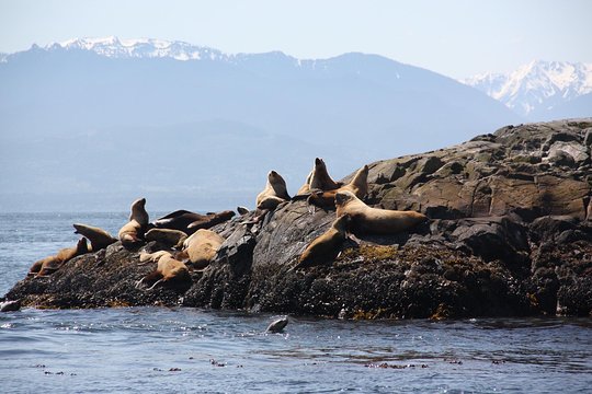 Tour image 6