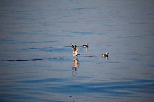 Tour image 11