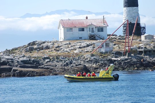 Tour image 10
