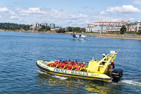 Tour image 6